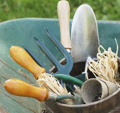 Gardening Tools You Must Have As Beginner
