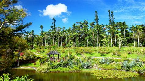 Most Beautiful Botanical Gardens In Japan