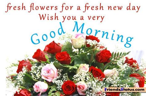 We hope you have found the most beautiful morning flower images you. Goodmorning /night/afternoon on Pinterest | Good Morning Quotes ... | Good morning flowers, Good ...