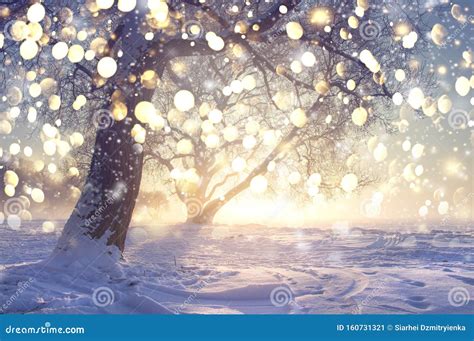 Christmas Winter Landscape Glowing Bokeh Lights Of Falling Snowflakes