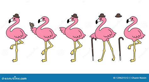 Pink Flamingo Vector Set Hat Cartoon Character Icon Flamingos