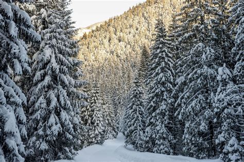 A List Of Unique Places For Winter Holidays In Poland 20192020