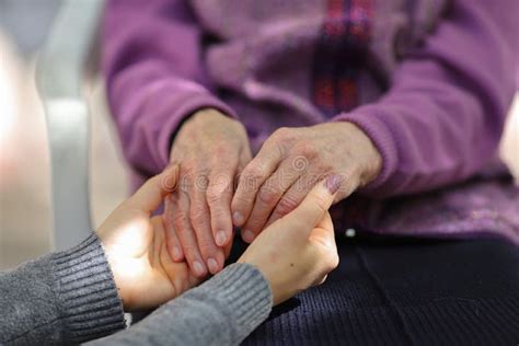 Young Caregiver Holding Seniors Hand Elderly Concept Stockfoto Bild