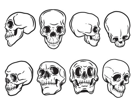 8 Deadly Hand Drawn Skull Vector Set 8312917 Vector Art At Vecteezy