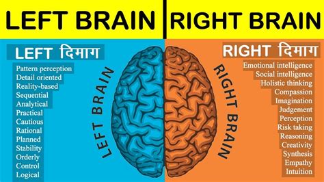 Left Brain Vs Right Brain Powerpoint Gambaran