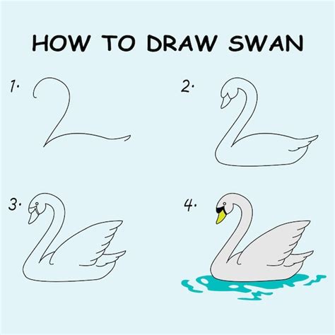 Premium Vector Step By Step To Draw A Swan Drawing Tutorial A Swan