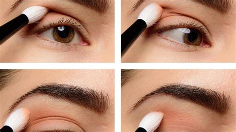 Where To Apply Eyeshadow Eye Makeup Diagram 2019 Eyeshadow For Blue