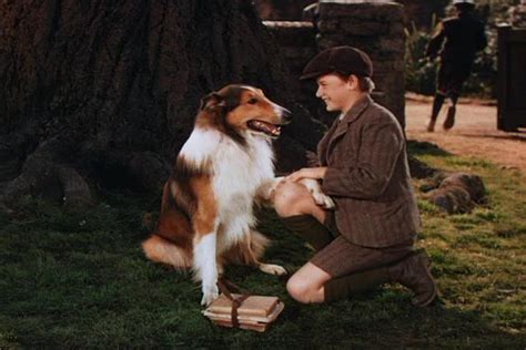 Celebrity Pets Lassie