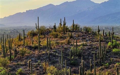 Awe Inspiring Places To Visit In Arizona Travel Paradiso