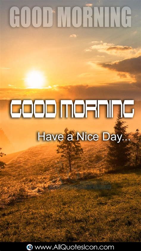 Over 999 Stunning Good Morning Images In English Extensive