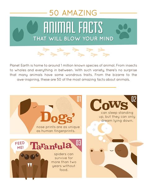 50 Amazing Animal Facts That Will Blow Your Mind Venngage Infographic