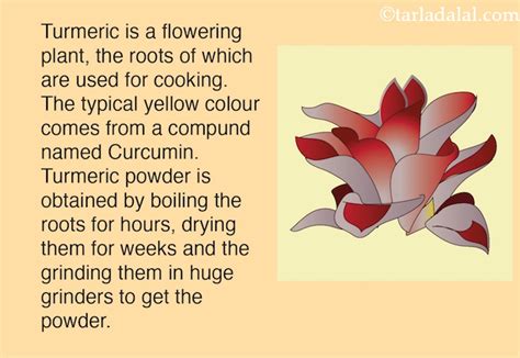 18 Amazing Turmeric Benefits Haldi Healthy Turmeric Recipes
