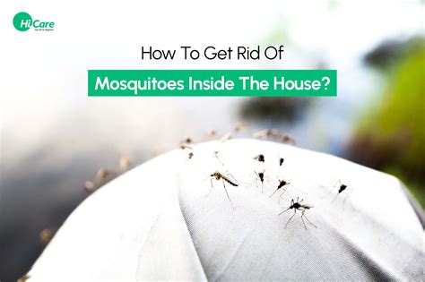 10 Best Tips On How To Get Rid Of Mosquitoes At Home Hicare