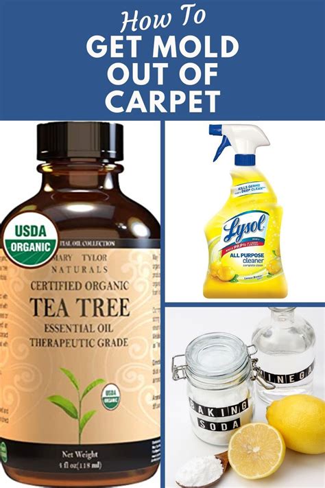 Maybe you would like to learn more about one of these? How to get mold out of carpet effectively in 2020 ...