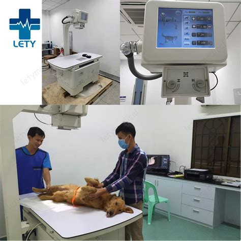 Amimal Veterinary X Ray Unit Digital X Ray Vet Dr System Digital