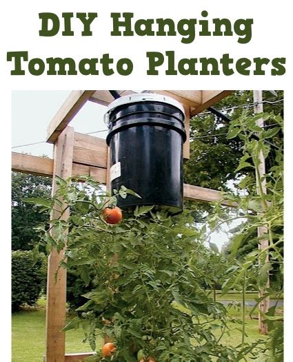 The Garden Swap Diy Hanging Tomato Planters