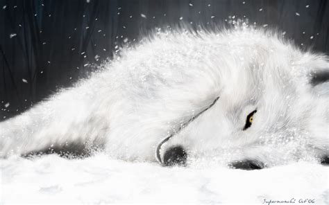 Anime Wolfs Rain Wallpaper