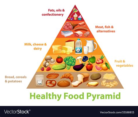 Healthy Food Pyramid Chart Royalty Free Vector Image