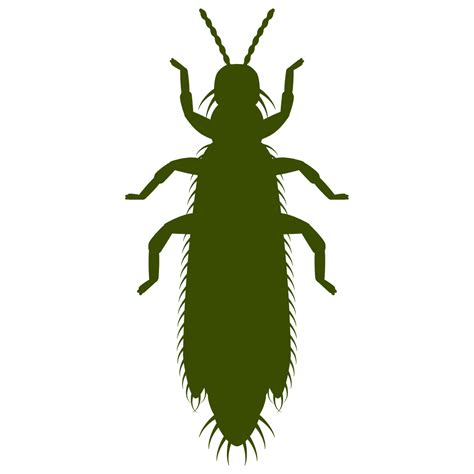 Beneficial Insectary Insects And Mites For Pest Control