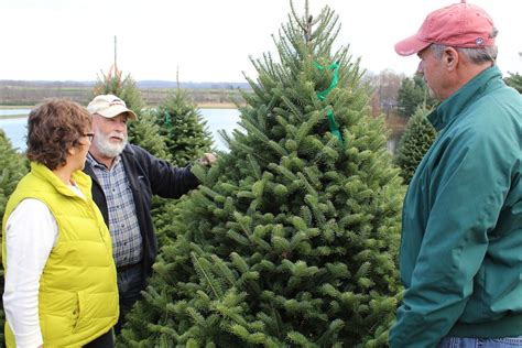 Plan ahead with christmas tree shops store locations and the normal store hours for christmas tree shops stores. Dush family has made Pine Tree Barn a Christmas tree ...