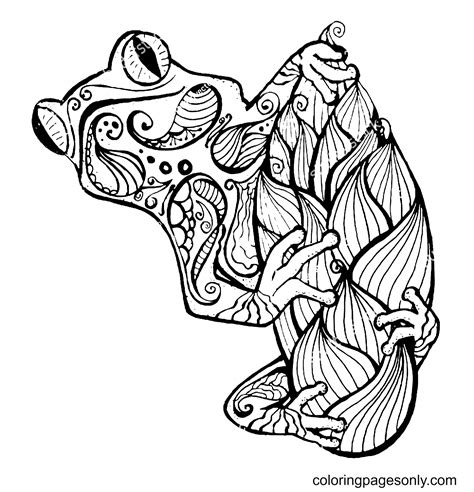 Printable Zentangle Coloring Pages Frogs