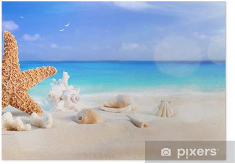 Poster Seashells On Seashore In Tropical Beach Summer Holiday
