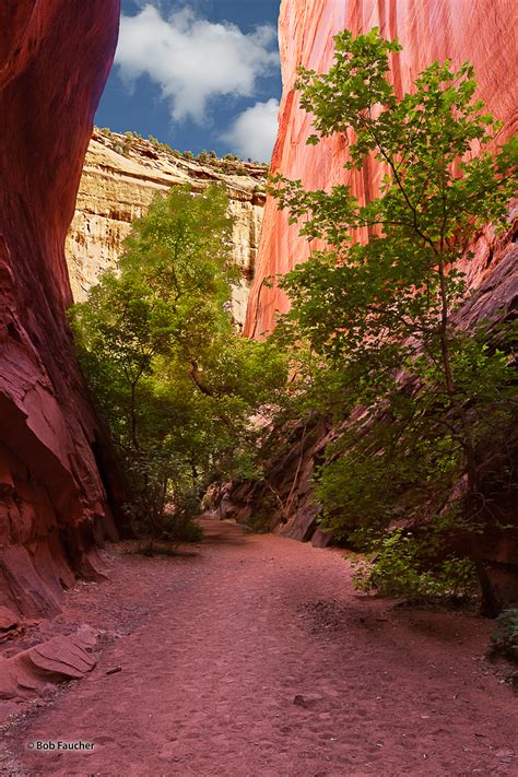 Looking Out Grand Staircase Escalante Nm Robert Faucher Photography