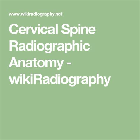 Cervical Spine Radiographic Anatomy Wikiradiography Anatomy