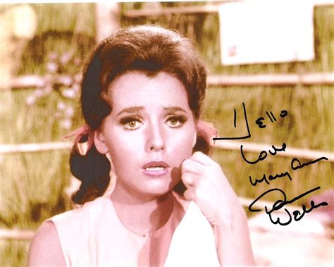 Dawn Wells Best Known As Mary Ann Summers On Gilligan S Island Signed
