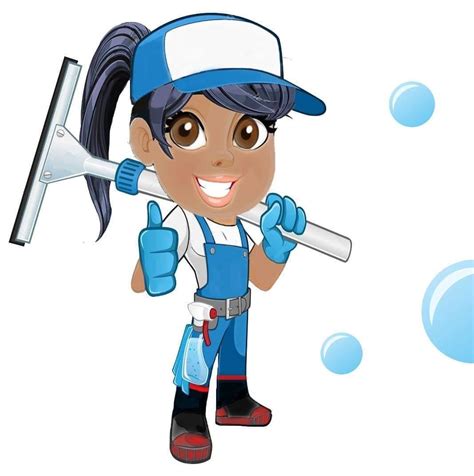 Diamond Shine Plus Windows And Cleaning Services