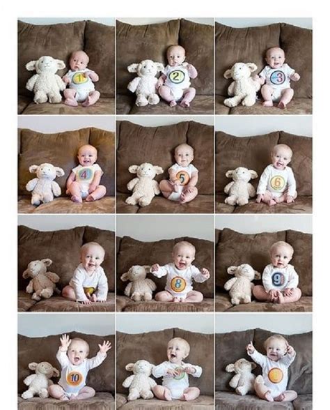 Cute Monthly Baby Picture Ideas Baby Viewer