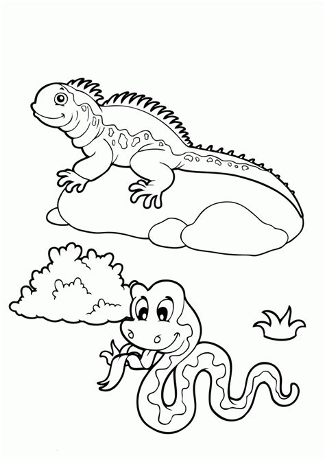 Desenho De Iguana Para Colorir E Pintar