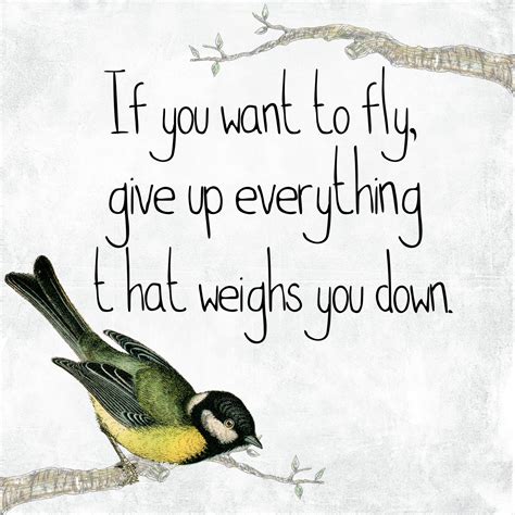 Inspirational Bird Quote Freedom Free Stock Photo Public Domain Pictures