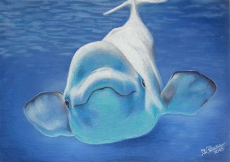 Baby Beluga Whale Art Print Whale Painting Whale Drawing
