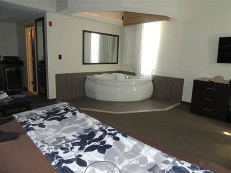 Download the apk installer of hotel with jacuzzi in room 1.1. View of the Chesapeake Bay and the National Aquarium ...