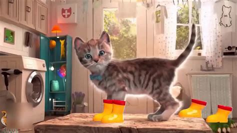 film hewan peliharaan kartun anak anakkucing lucu animasiedukasifilm
