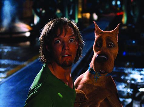 Do you like this video? Scooby-Doo: Matthew Lillard pensa che faccia 'schifo ...