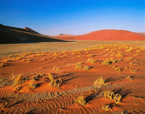 Desert Floor Sossusvlei Namibia Africa Transient Light