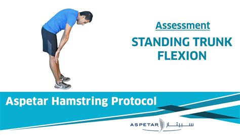4 Assessment Standing Trunk Flexion Youtube