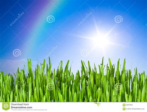 Green Grass And Blue Sky Stock Photos Image 5027953
