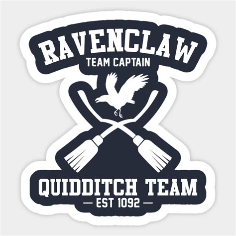 Ravenclaw Quidditch Team Seeker Posters Harry Potter