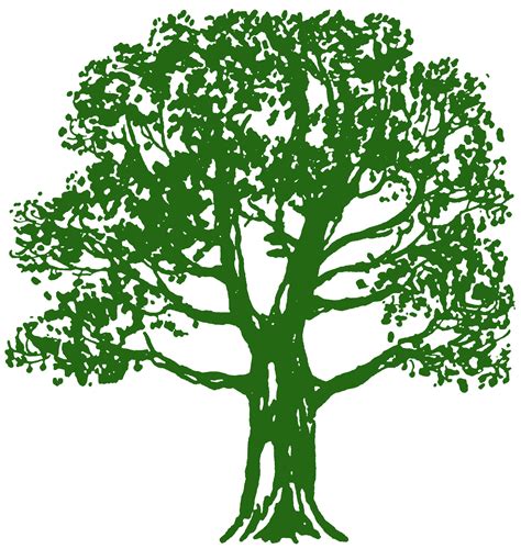 Green Tree Clipart Clip Art Library