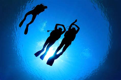 So You Want To Be A Scuba Instructor A Look Inside The Divers Dream Job Dive Training