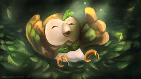 Rowlet Wallpapers Wallpaper Cave
