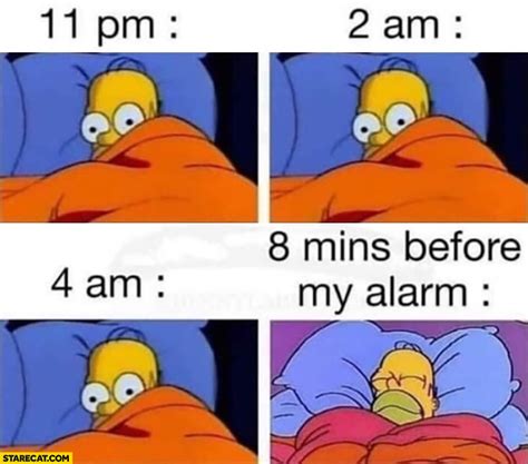 11 Pm 2 Am 4 Am Cant Sleep 8 Mins Before My Alarm Sleeping Homer