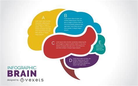 Premium Vector Infographics Vector Brain Design Diagr