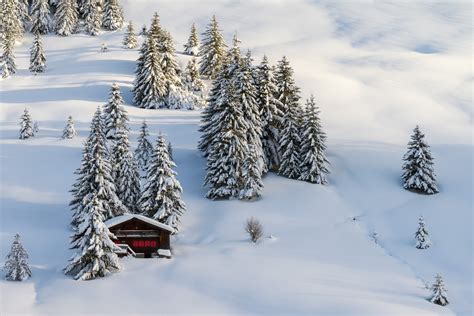 Swiss Winter A Chalet With Trees And Snow At Sunset Nio Photography