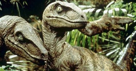Jurassic Park Best Velociraptor Scenes From The Original To