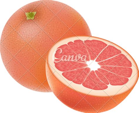 Whole And Half Grapefruit Illustration 素材 Canva可画
