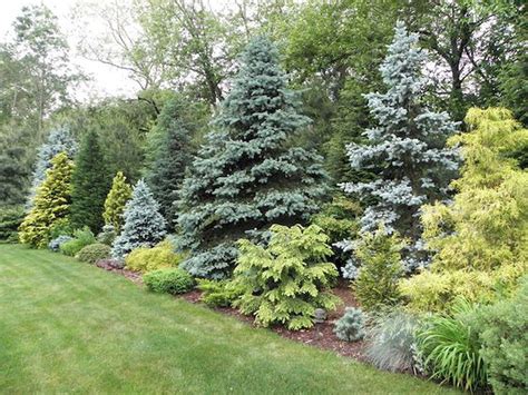 60 Beautiful Front Yards And Backyard Evergreen Garden Design Ideas 8